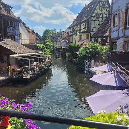 Appartamento Joli Gite Cosy Proche De Kaysersberg Et De Colmar Kientzheim