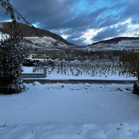 Appartamento Joli Gite Cosy Proche De Kaysersberg Et De Colmar Kientzheim